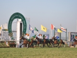 On the Turf: Equine investing and the Thrill of Horseracing in India